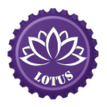 BAS Tool - Lotus Coaching