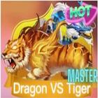 Dragon Tiger Master icône