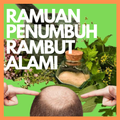Ramuan Penumbuh Rambut Alami