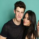 'Señorita - 'Shawn Mendes, 'Camila Cabello New Mp3 APK
