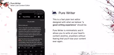 Pure Writer - написание