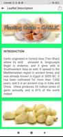 Planting Guide - GARLIC الملصق