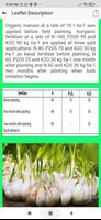 Planting Guide - GARLIC capture d'écran 2