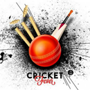 LIVE_CRICKET_SCORE_ APK