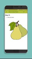 How to Draw Fruit Step by Step syot layar 3