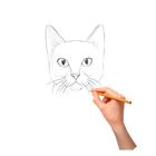 How To Draw Beautiful Cats icône