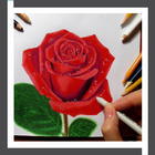 Learn to Draw Roses Flower icône