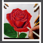 Learn to Draw Roses Flower أيقونة