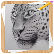 Comment Dessiner des Animaux