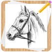 Comment Dessiner les Chevaux