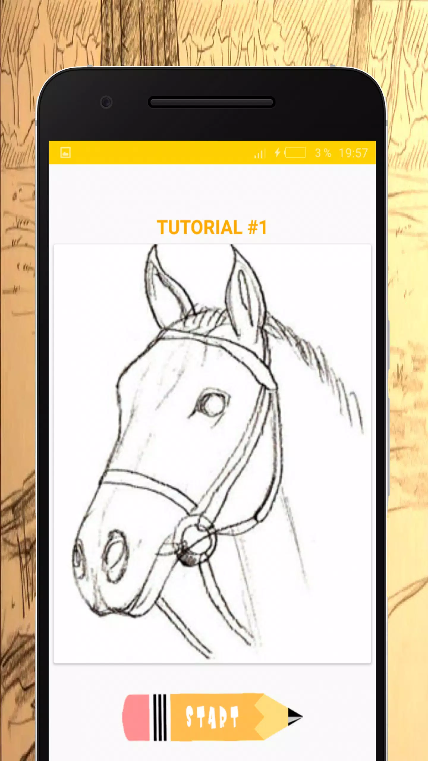 Como desenhar um cavalo?