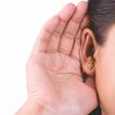 Ears G29 icon