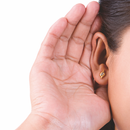 Ears G29 APK