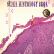 Super Histology Bros. icon