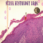 Super Histology Bros. иконка