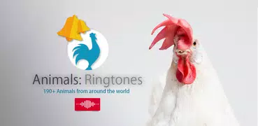 Animals: Ringtones