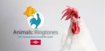 Animals Ringtones