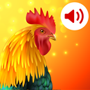 Animaux Sonneries APK