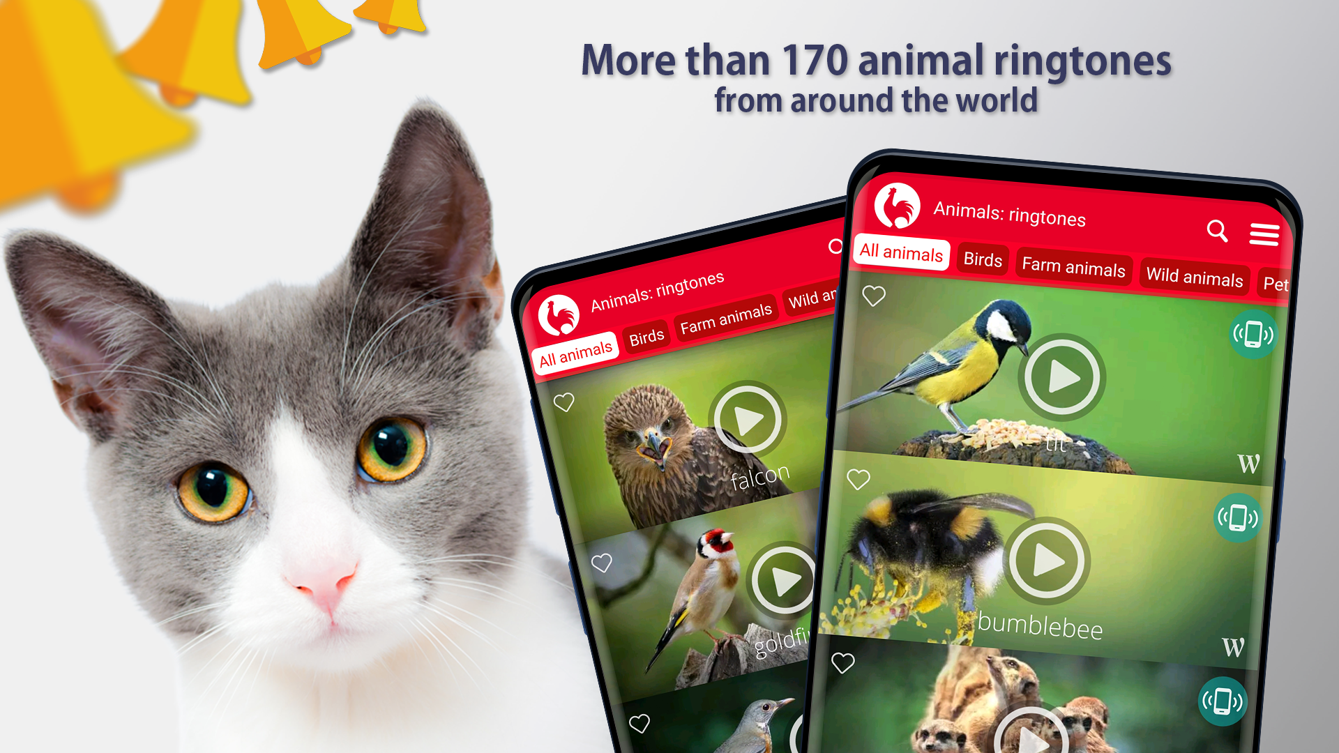 Animals: Ringtones APK  for Android – Download Animals: Ringtones APK  Latest Version from 