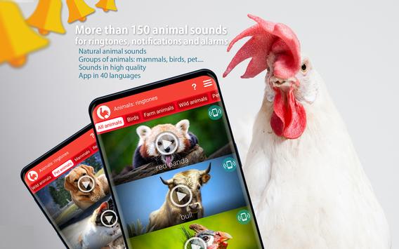 Animals: Ringtones for Android - APK Download