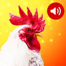 Animal Sounds APK