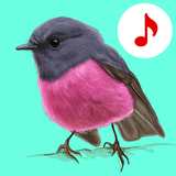 150 Animal Sounds APK for Android Download