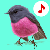 150 Animal Sounds APK for Android Download 150 Animal Sounds APK for Android Download