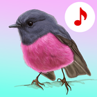 Chants d'oiseaux : Sonneries icône