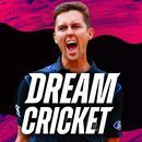 dream cricket 2023 APK