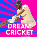 dream cricket 2024 clue APK