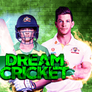 Dream Cricket riddle-APK