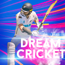dream cricket 2024 APK