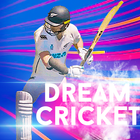 dream cricket 2024 आइकन