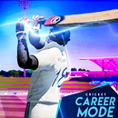 dream cricket 24 clue APK