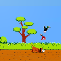 Duck Hunt Game