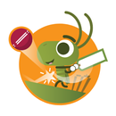 Doodle Bug Cricket APK