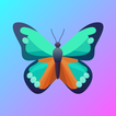 ”butterfly vpn