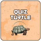 Quiz Turtle icône