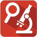 Magnifier APK