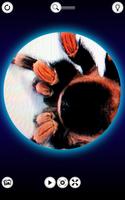 Microscope Pro تصوير الشاشة 2