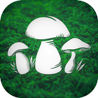 Real Mushroom Hunting Simulato icône
