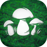 真实采集蘑菇模拟器 [Real Mushroom Hunti