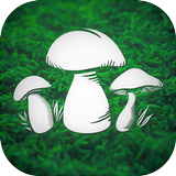Real Mushroom Hunting Simulato icono