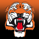 Talking Tigers Memory Box APK