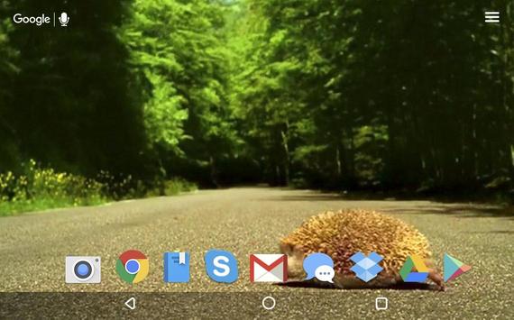 Android 用の かわいいハリネズミライブ壁紙 Apk をダウンロード