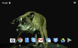 Funny Dogs Live Wallpaper स्क्रीनशॉट 1