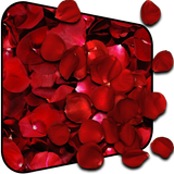 Rose Petals Falling Live WP icon