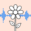 Daily Affirmations: Audio Zen