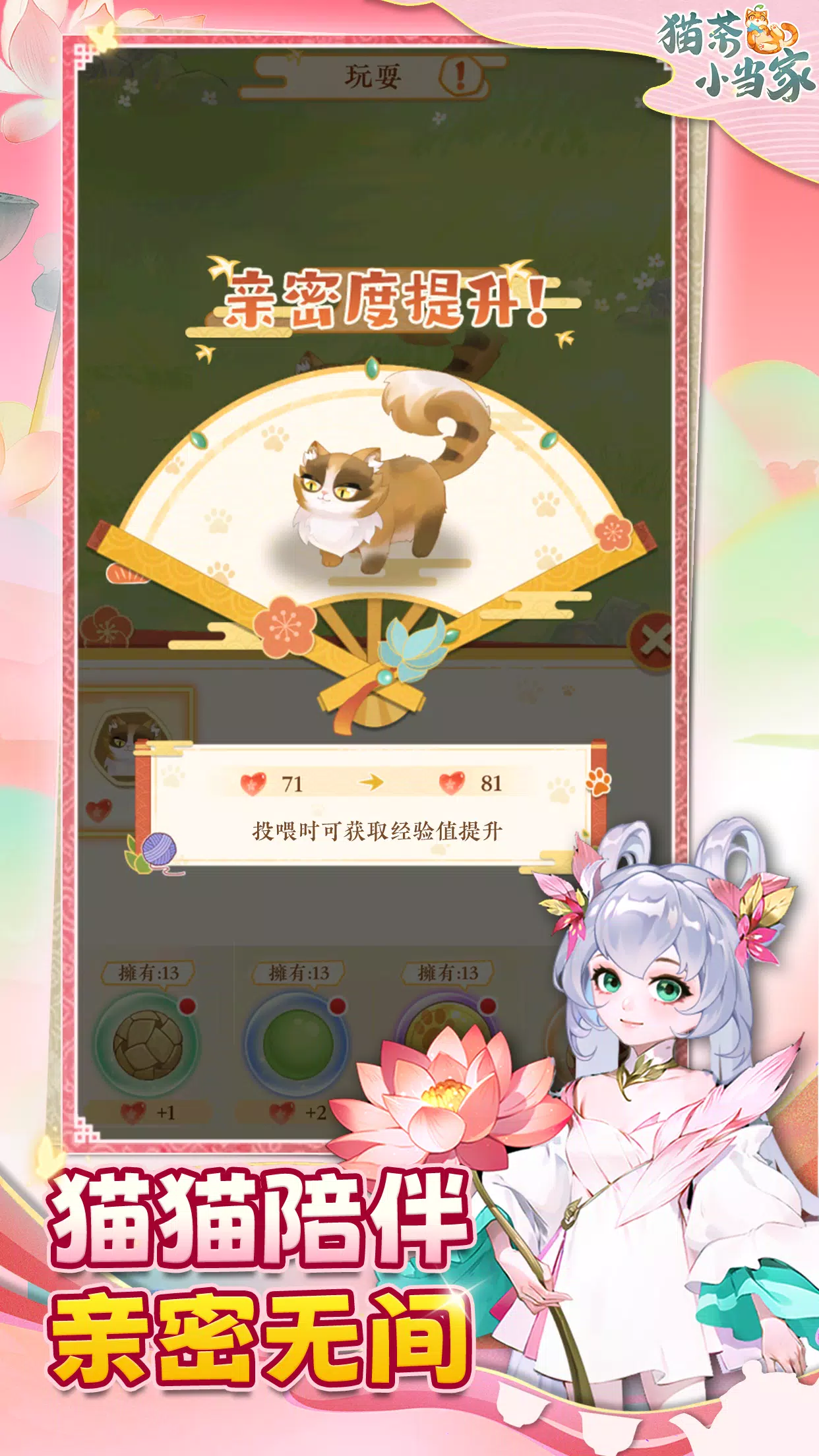 猫茶小当家:掌柜养成记