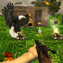 Realistic Wild Birds Hunting APK